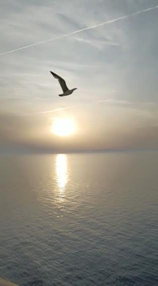 Armareaoverseassuites 1 Fiumicino Dış mekan fotoğraf